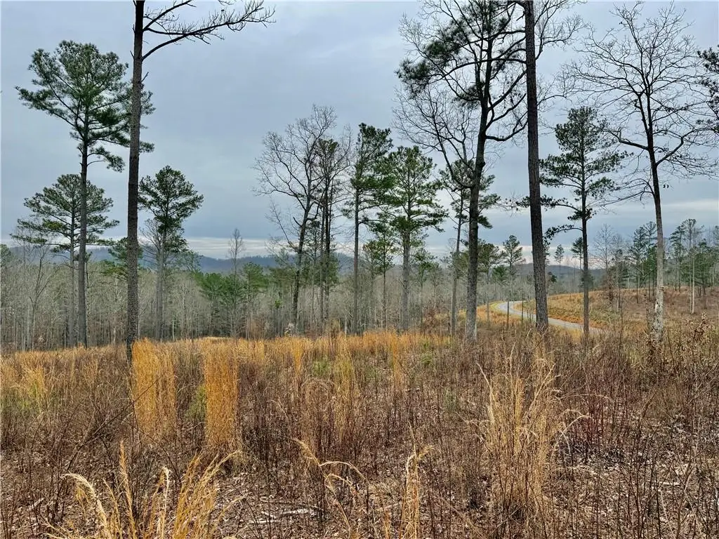 347 Timbercreek Trail, Talking Rock, GA 30175 - #1