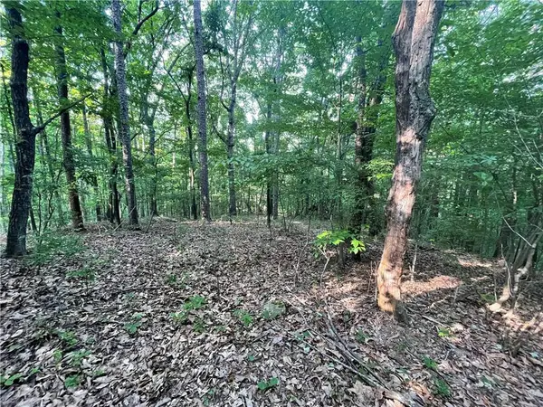 860 Cloudland Trace, Chickamauga, GA 30707