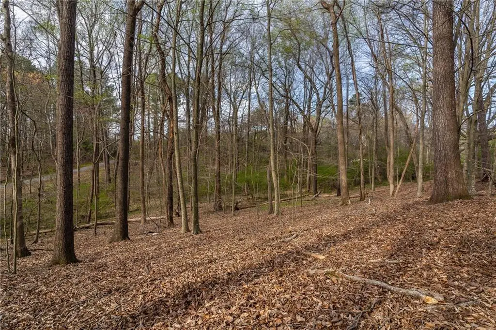342 Jesse Martin Trail, Canton, GA 30115 - #1