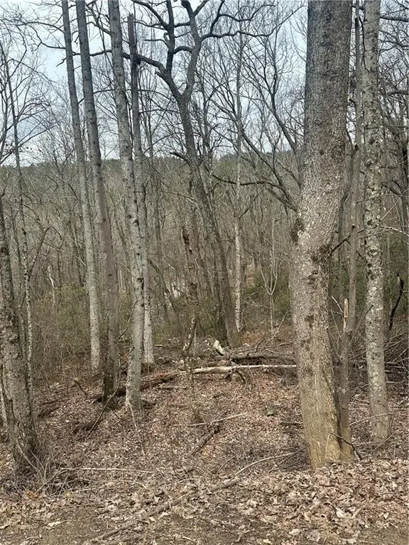 0 Mulberry Court, Jasper, GA 30143 - #1