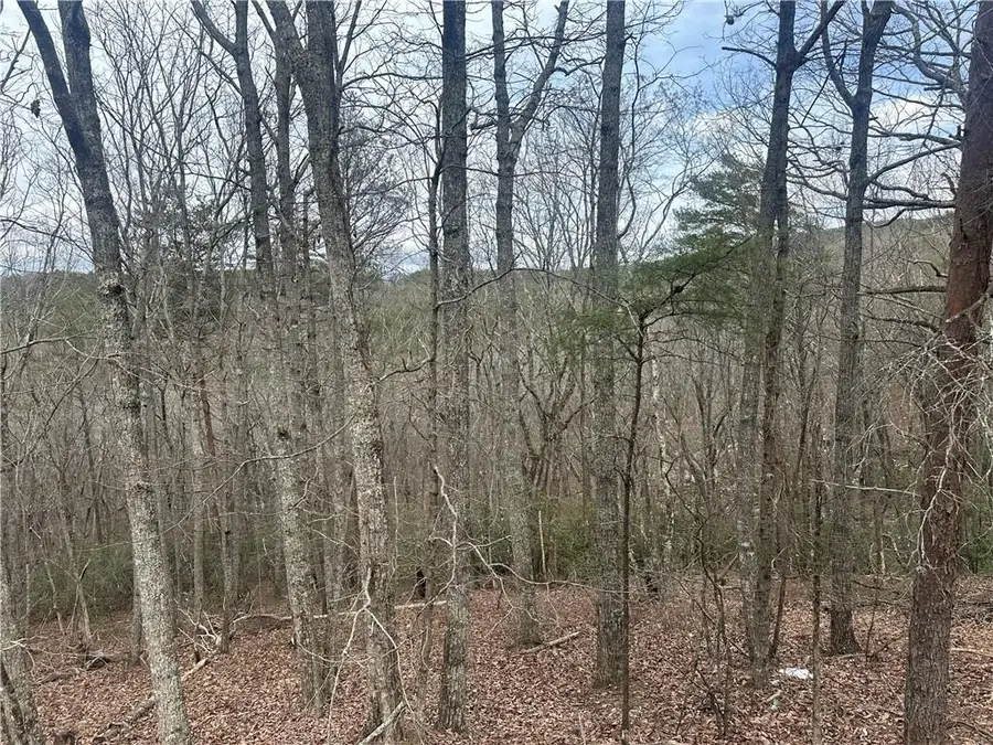 0 Mulberry Court, Jasper, GA 30143 - #2