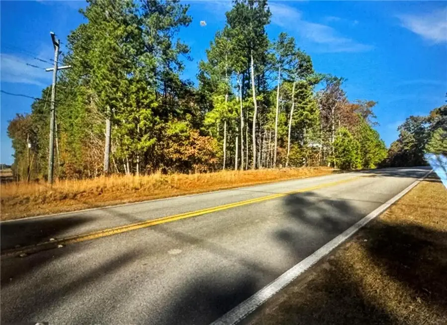 O Freeman Road, Hampton, GA 30228 - #3