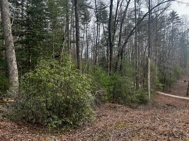 0 Corinth Church Road, Cleveland, GA 30528 - #1