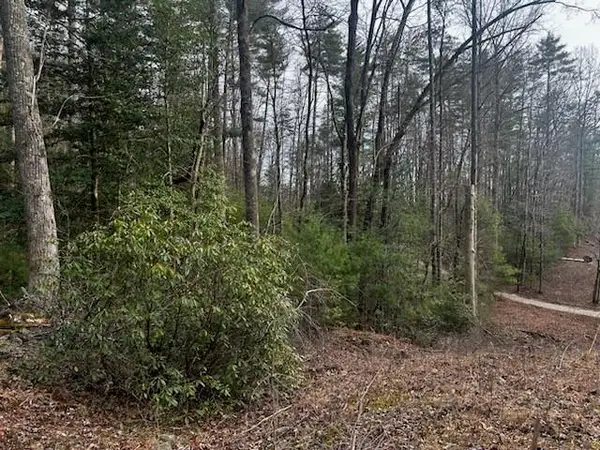 0 Corinth Church Road, Cleveland, GA 30528