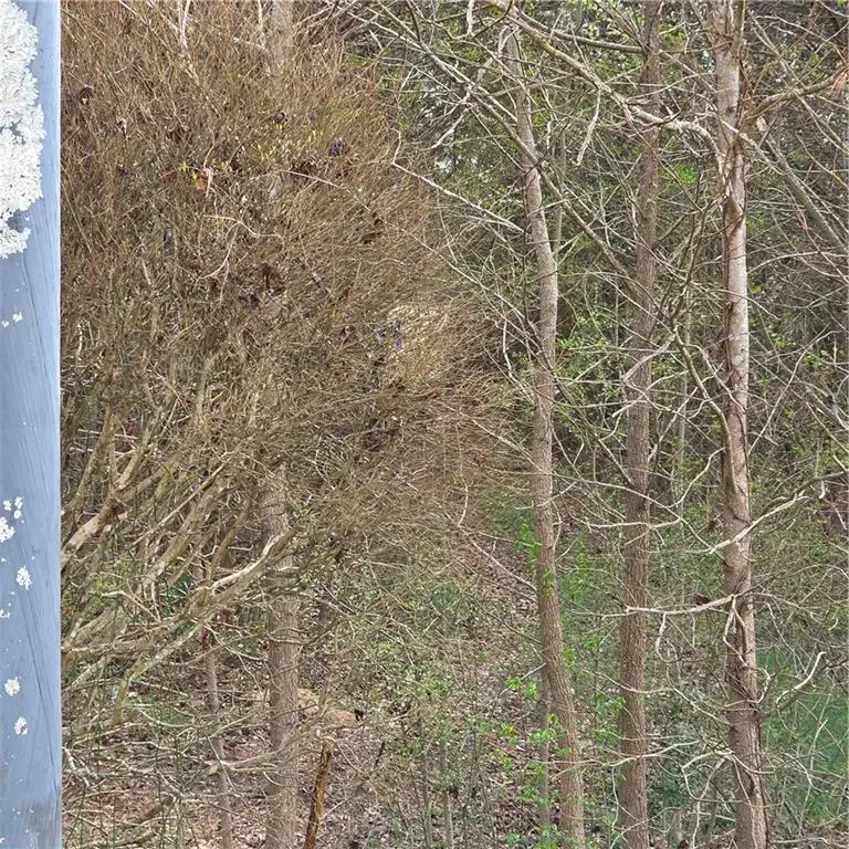 521 Birkdale Boulevard, Carrollton, GA 30116 - #3