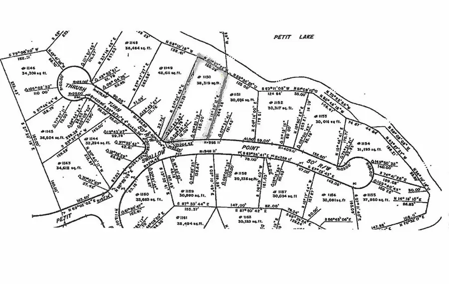 1150 Swallow Point, Big Canoe, GA 30143 - #3
