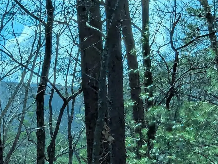 LT 30 Eagle Ridge Road, Dawsonville, GA 30534 - #2