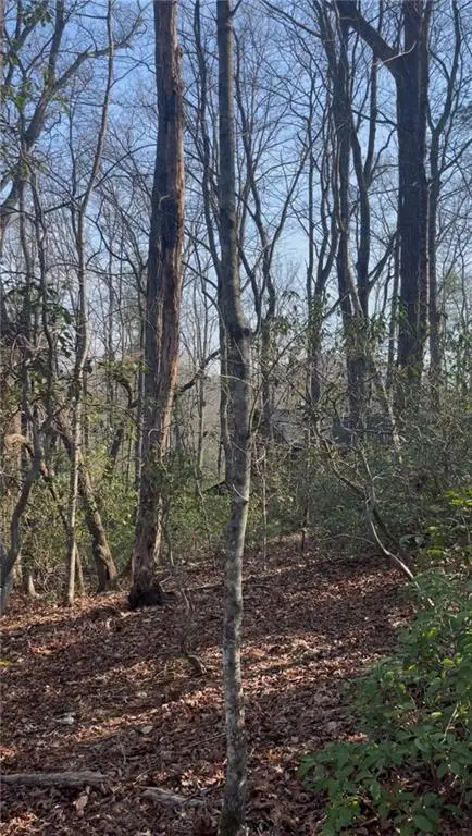 0 Highland Trail, Cleveland, GA 30528 - #2