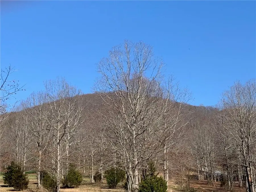Lot 24 Long Mountain Trail, Cleveland, GA 30528 - #3