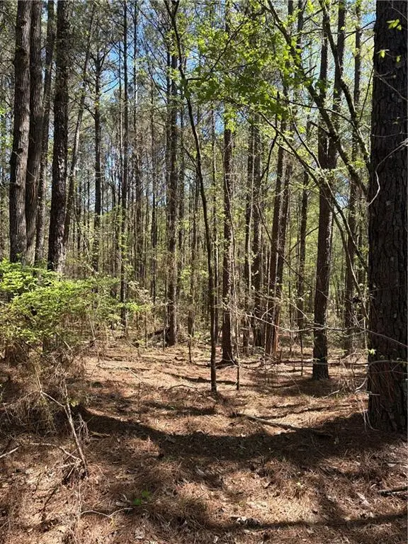 N/A Old Union Point Road, Greensboro, GA 30642 - #2