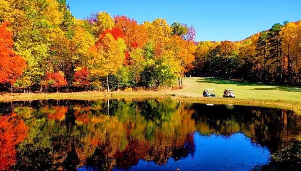 0 Shadowick Mountain Road, Jasper, GA 30143 - #1