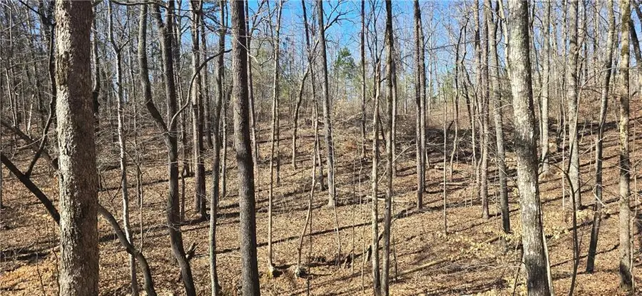 00001 Friendship Trail, Talking Rock, GA 30175 - #2