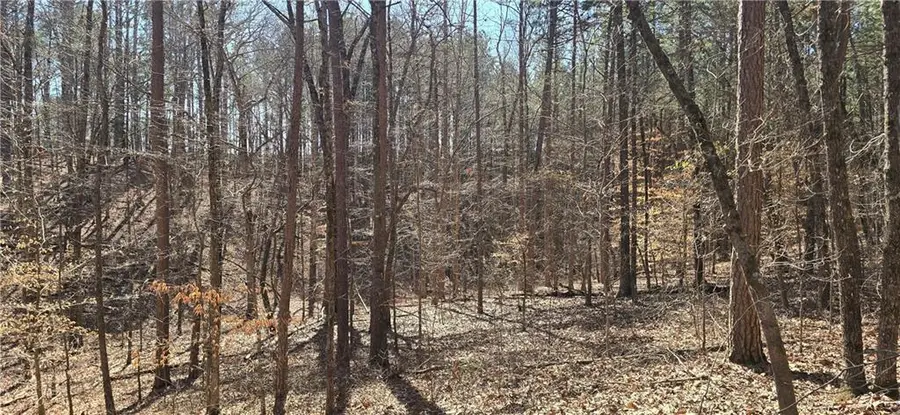 00001 Friendship Trail, Talking Rock, GA 30175 - #3