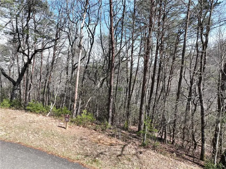 200 Stone Cliff Drive, Ellijay, GA 30536 - #2
