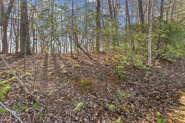 LOT 6 Sweet Apple Lane, Dahlonega, GA 30533