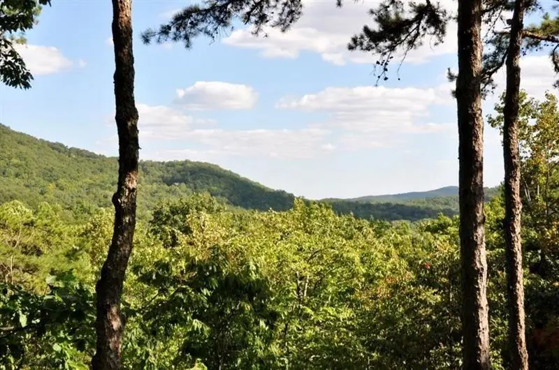 64 Wrens Nest, Big Canoe, GA 30143 - #2