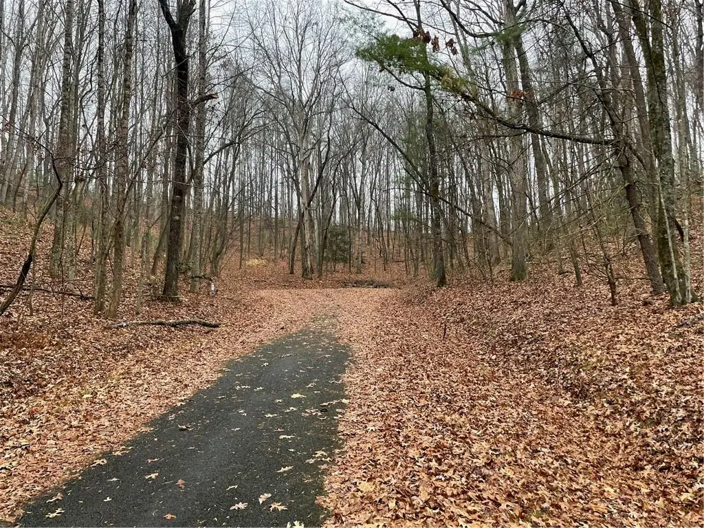 0 Walhalla Court, Ellijay, GA 30540 - #1