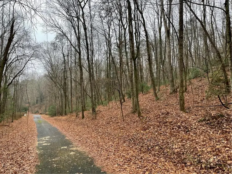 0 Walhalla Court, Ellijay, GA 30540 - #2