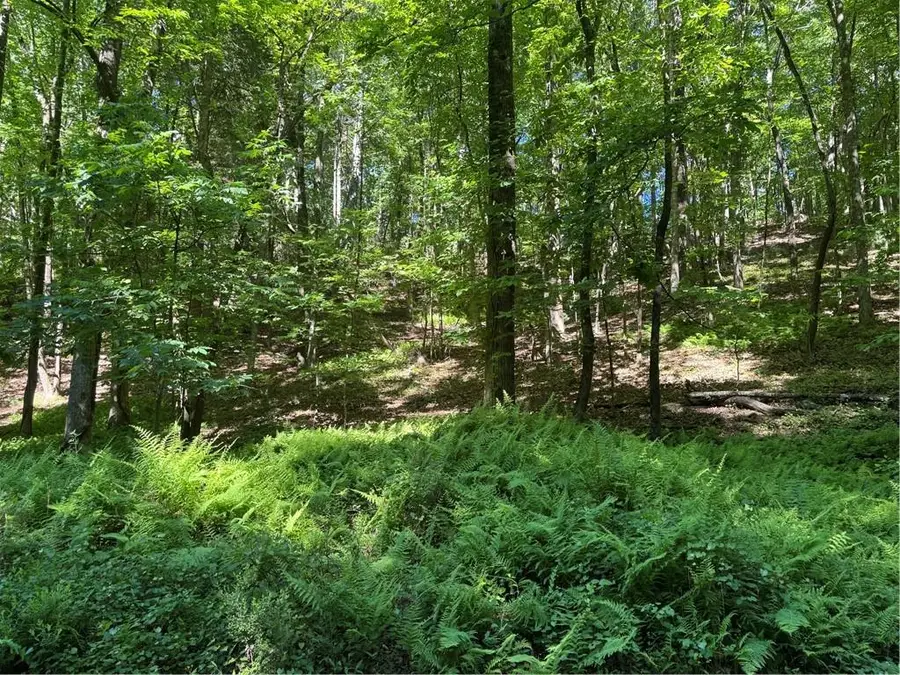 0 Walhalla Court, Ellijay, GA 30540 - #3