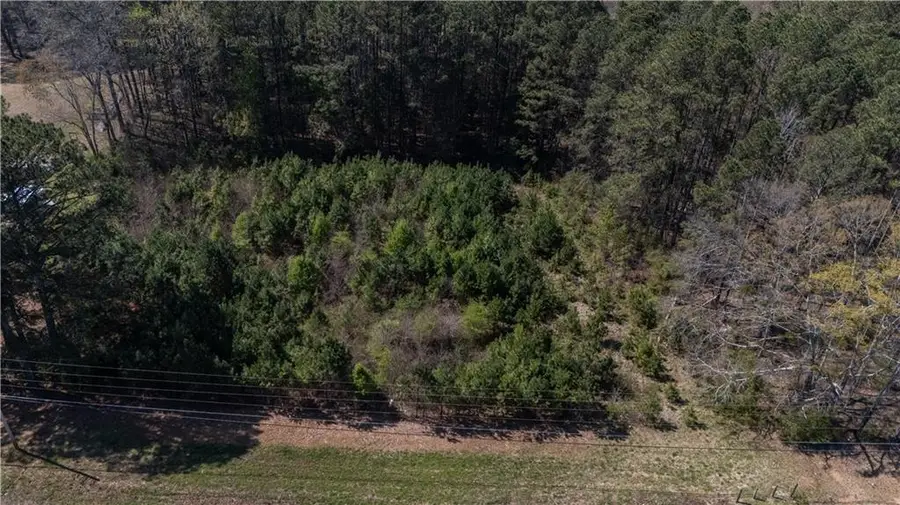 0 East Of Burch Road, Fayetteville, GA 30215 - #3