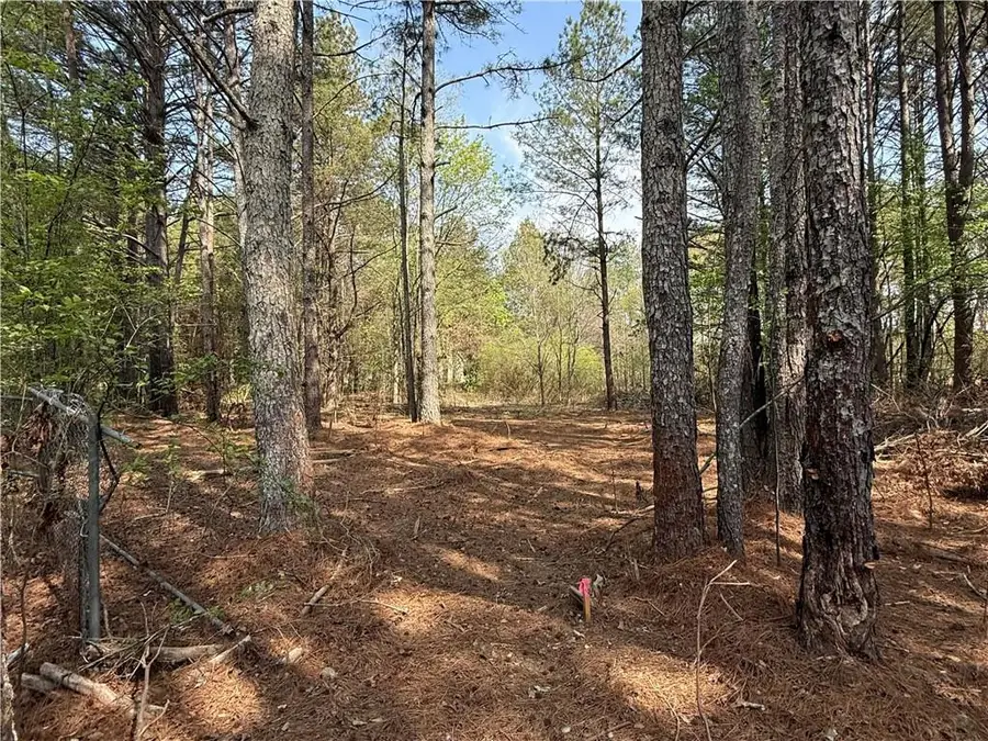 265 W Union Grove Circle, Auburn, GA 30011 - #2
