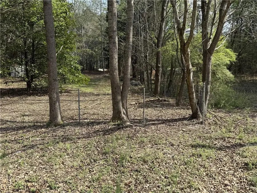 265 W Union Grove Circle, Auburn, GA 30011 - #3