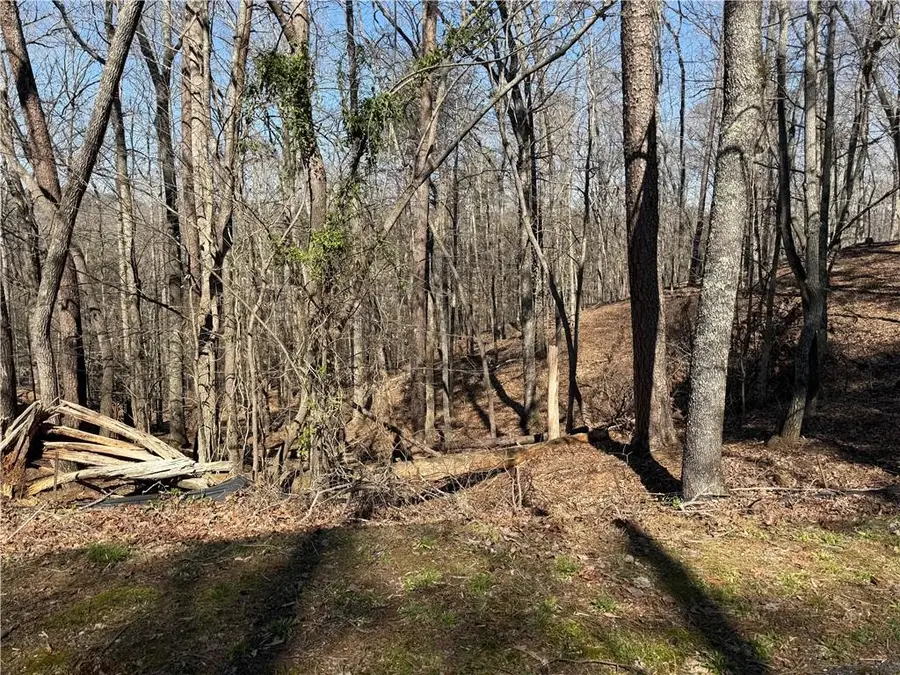 62 Miners Place, Dahlonega, GA 30533 - #3