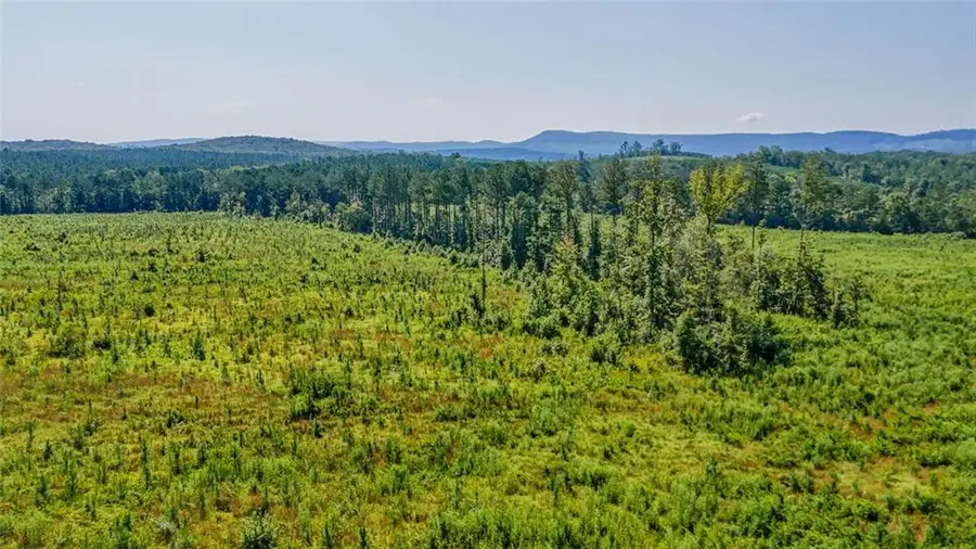 Lot 1 Back Valley Road, Lyerly, GA 30730 - #3