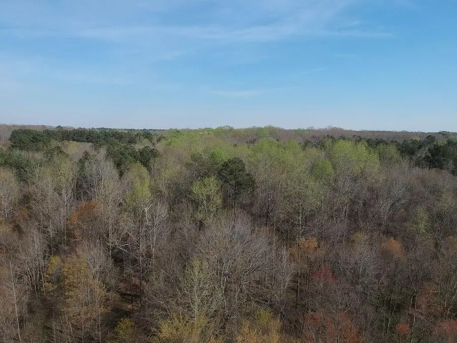 0 Cobb Road Road, Covington, GA 30014 - #2