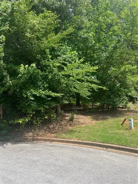 1894 Point River Drive, Duluth, GA 30097 - #2