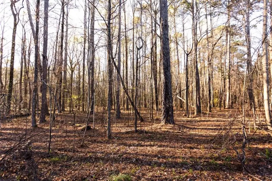 0 Social Circle Parkway, Social Circle, GA 30025 - #3