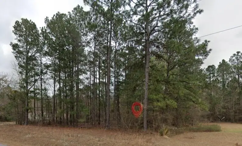 0 Pebble Hills Road, Cochran, GA 31014 - #2