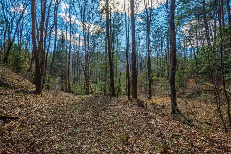 9 Blackbear Mountain Trail, Suches, GA 30572 - #2