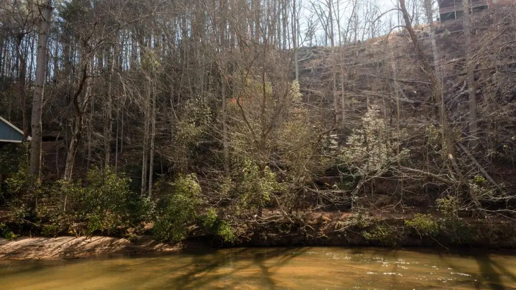 0 River Flow Drive, Dahlonega, GA 30533 - #1