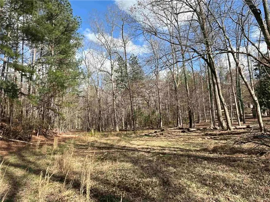 4360 Pool Rd, Winston, GA 30187 - #2