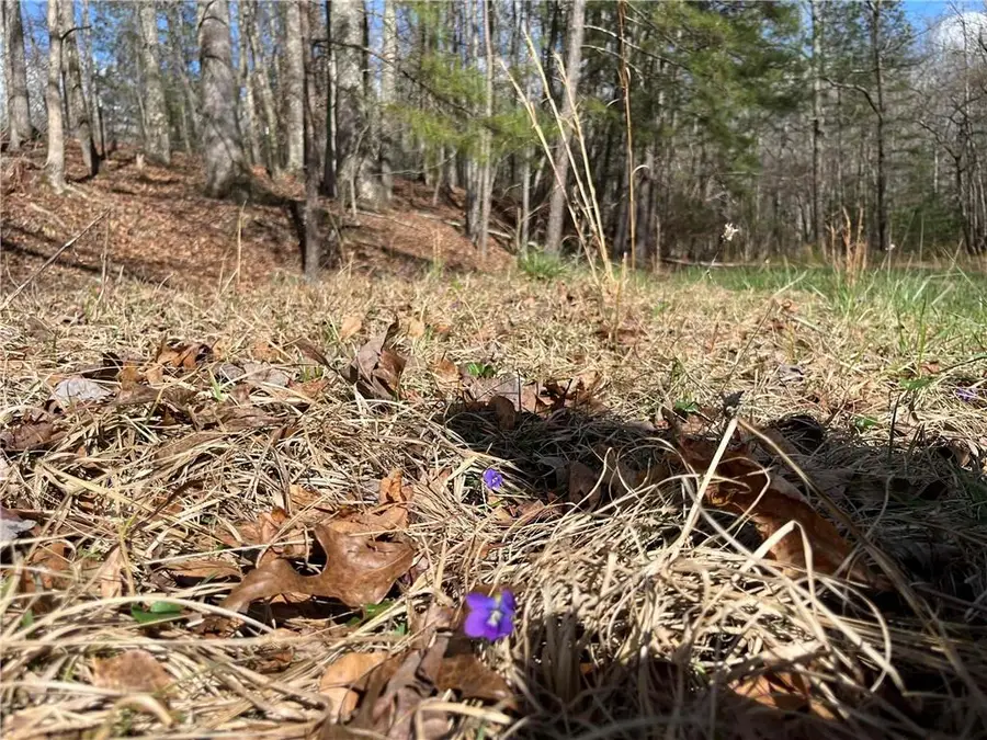 4360 Pool Rd, Winston, GA 30187 - #3