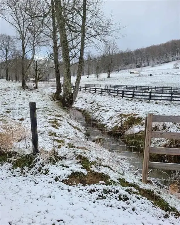 137 Blue Spruce Drive, Blairsville, GA 30512 - #2