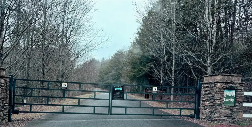 807 East Ridge Lane, Ellijay, GA 30536 - #1