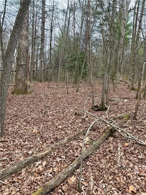 807 East Ridge Lane, Ellijay, GA 30536 - #3