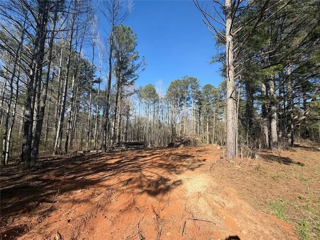 0 Waterford Road, Bremen, GA 30110 - #1