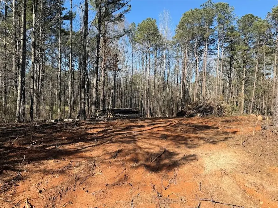 0 Waterford Road, Bremen, GA 30110 - #2