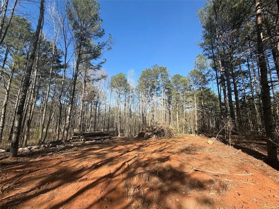 0 Waterford Road, Bremen, GA 30110 - #3