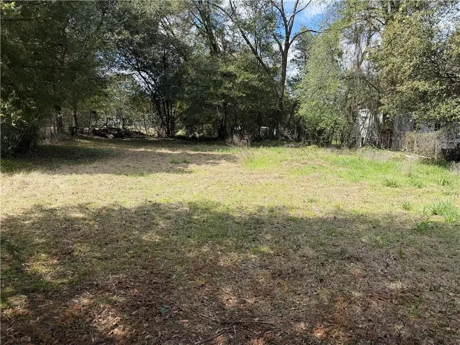 709 Plant Street, Montezuma, GA 31063 - #2