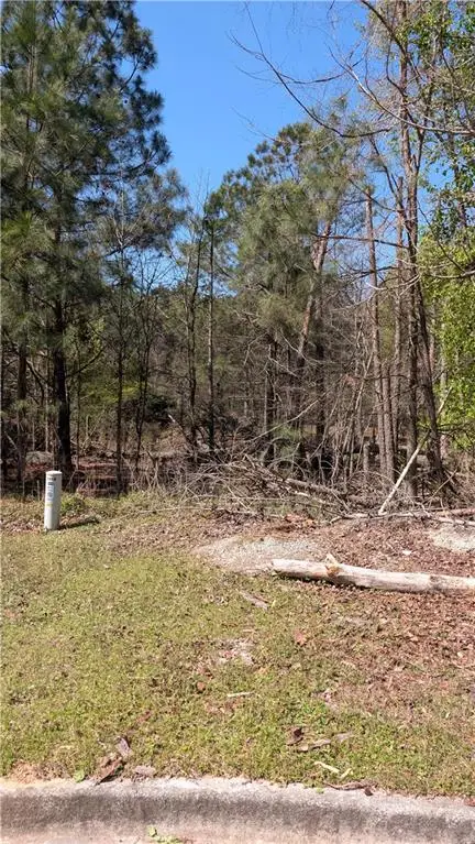 3641 Serenity Lane, Lithonia, GA 30038 - #2