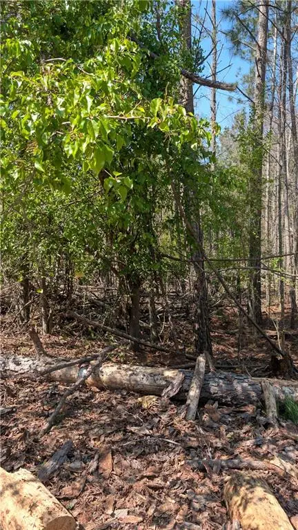 3641 Serenity Lane, Lithonia, GA 30038 - #3