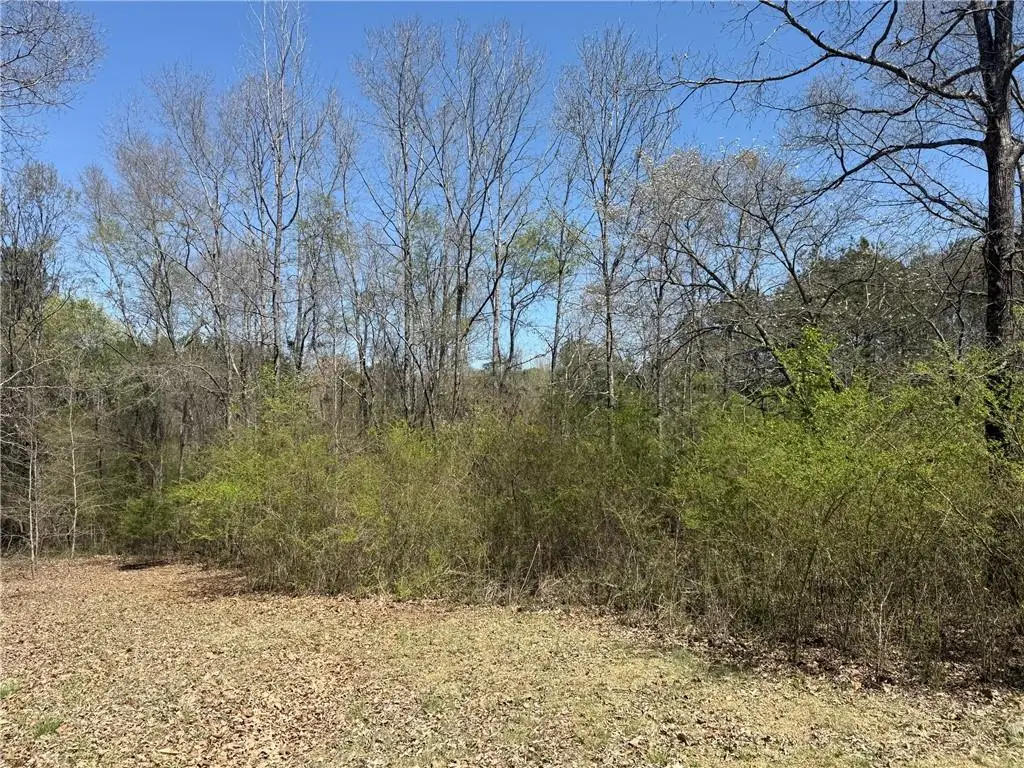 78 Mullinax Road, Taylorsville, GA 30178 - #1