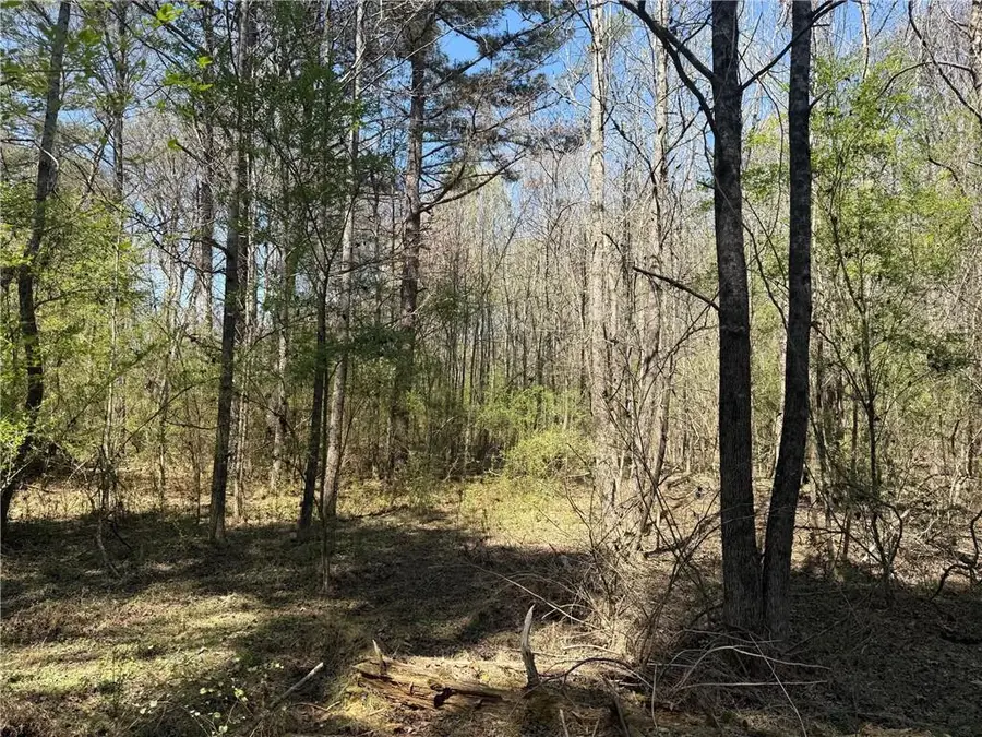 78 Mullinax Road, Taylorsville, GA 30178 - #2