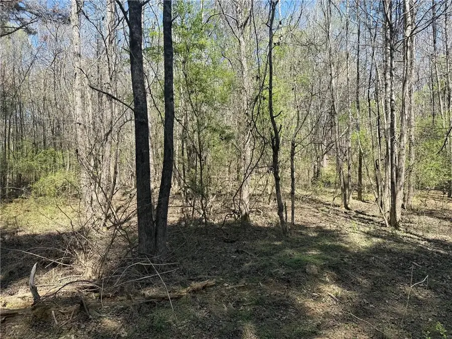 78 Mullinax Road, Taylorsville, GA 30178 - #3