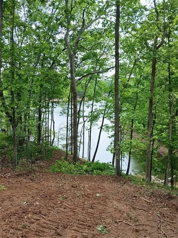 110 Peninsula Way, Dawsonville, GA 30534 - #2