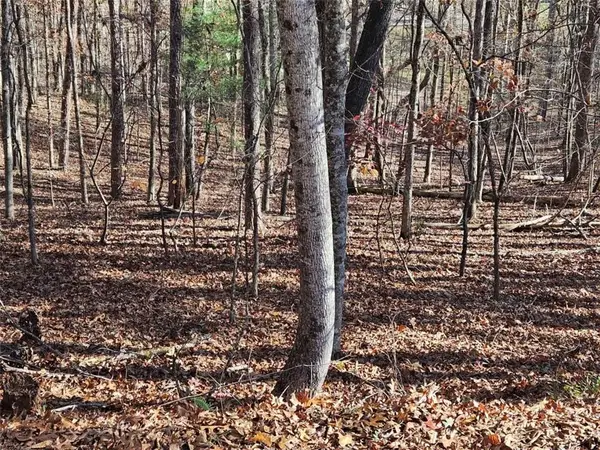 7629 Dogwood Way, Murrayville, GA 30564